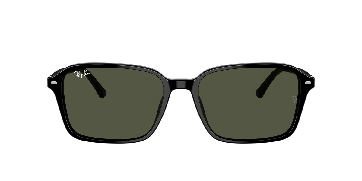 Lunette de soleil RAY-BAN - RB2231