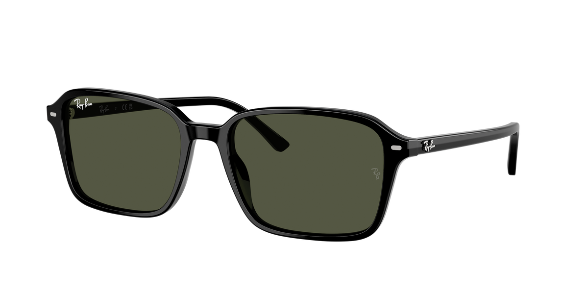 Lunette de soleil RAY-BAN - RB2231
