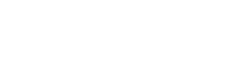 L'aire visuelle